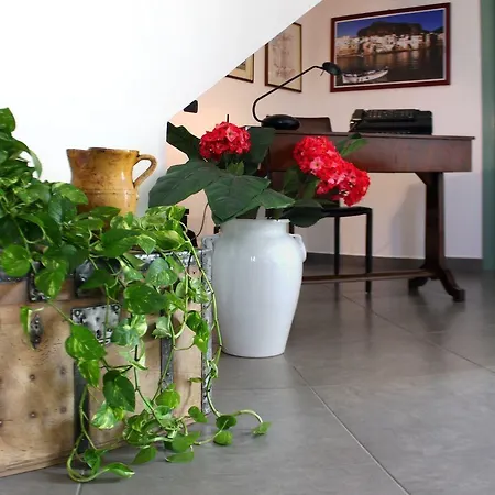 布干维尔住宿加早餐酒店 住宿加早餐酒店