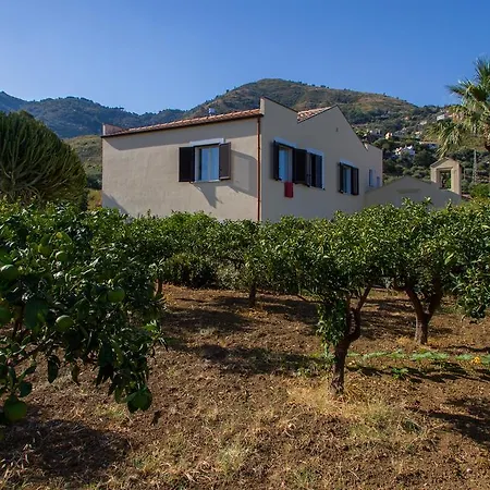 Bouganville Cefalu