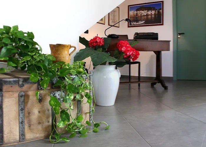 Bouganville فندق مبيت وإفطار